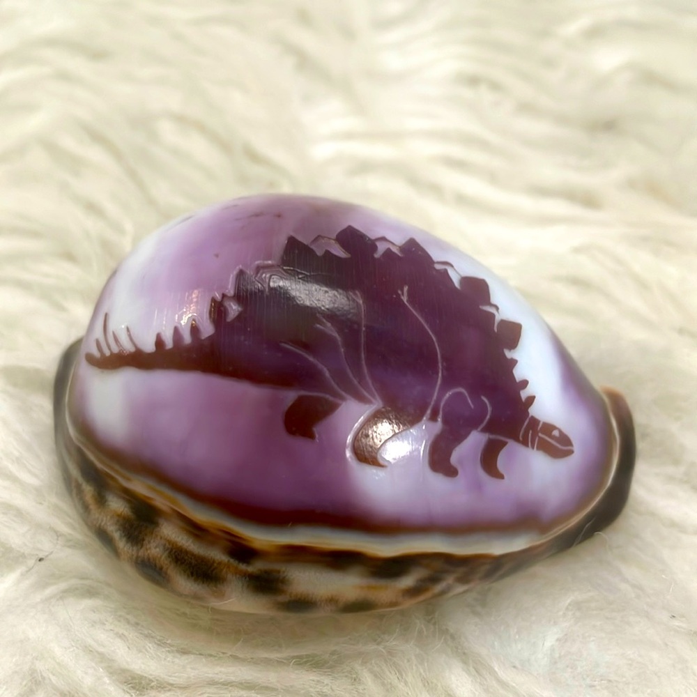 Tiger Cowrie Shell with Purple Tinted Stegosaurus Dinosaur!